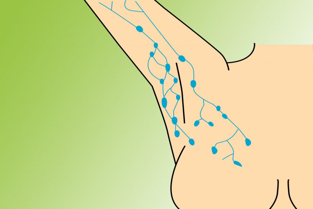 cording lymph node